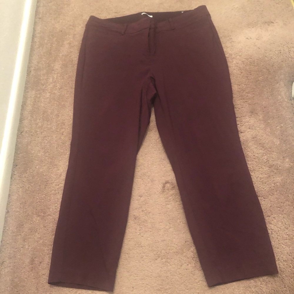Burgundy Allie ankle pants from lane Bryant